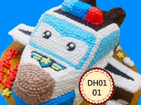 DH0101